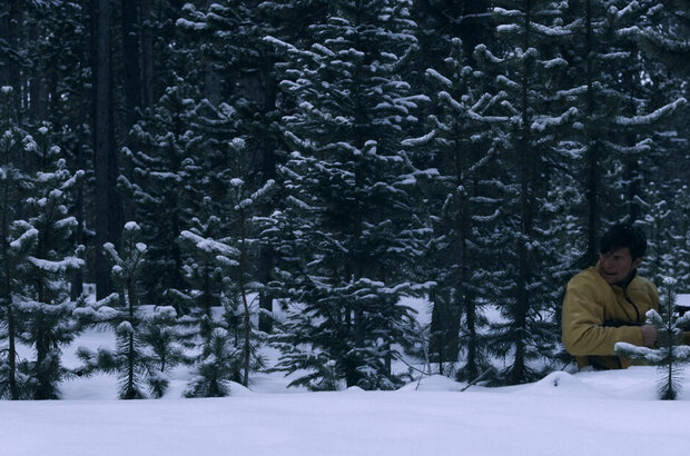 Call of the Wolf (2017) - photo 5