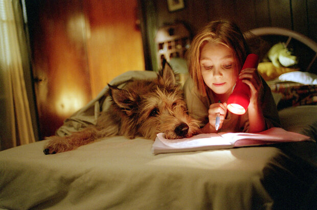 Because of Winn-Dixie (2005) - photo 1