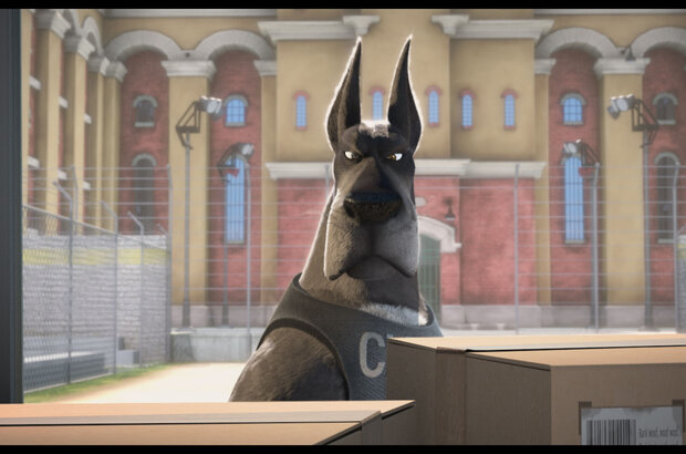 Ozzy (2016) - photo 3