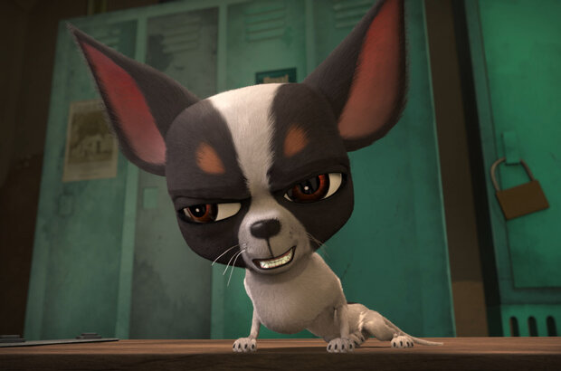 Ozzy (2016) - photo 15