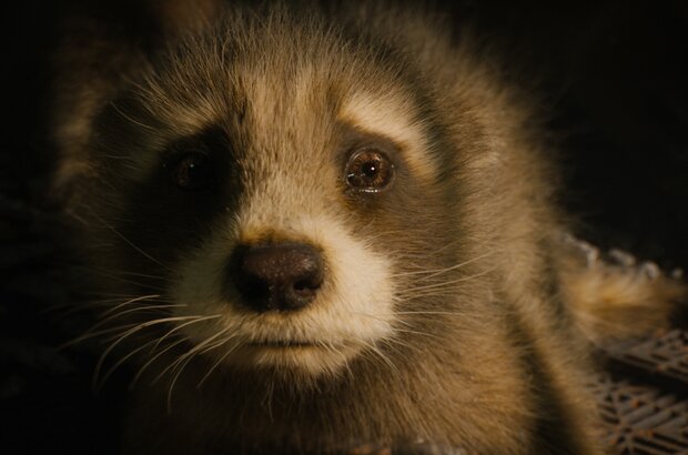 Guardians of the Galaxy Vol. 3 (2023) - photo 14
