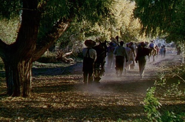 Song of the South (1946) - photo 5