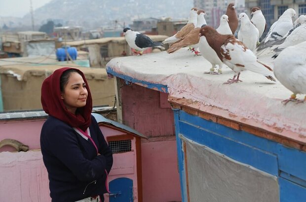 Hava, Maryam, Ayesha (2019) - photo 1