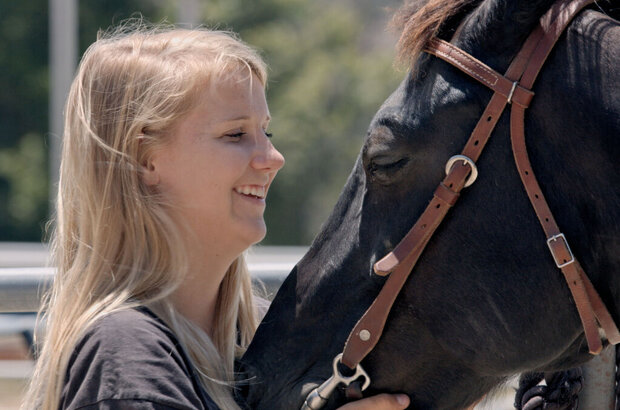 A Horse from Heaven (2018) - photo 5