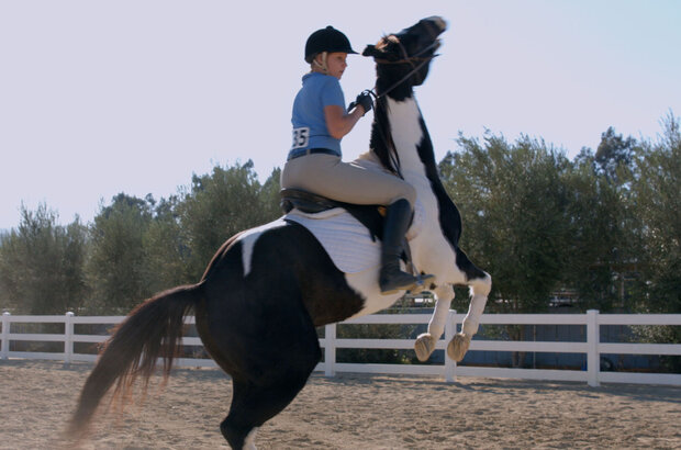 A Horse from Heaven (2018) - photo 7