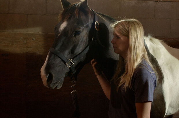 A Horse from Heaven (2018) - photo 1