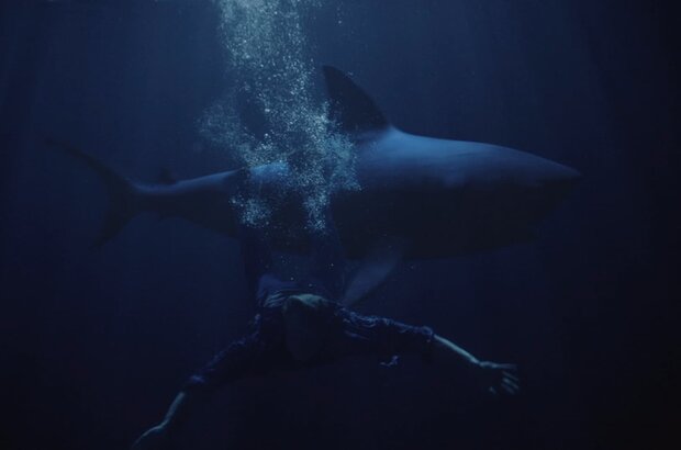 Shark Lake (2015) - photo 4