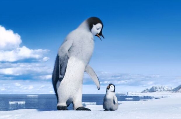 Happy Feet Two (2011) - photo 17