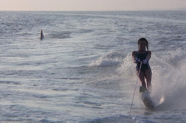 Jaws 2 (1978) - photo 4