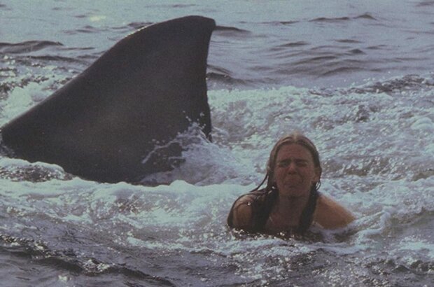Jaws 2 (1978) - photo 2