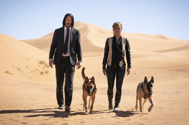 Джон Уик 3 (2019) - фото 10