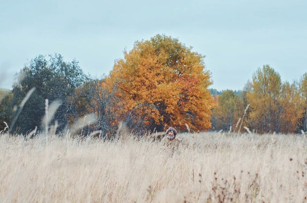 My Homeland Tales (2018) - photo 4
