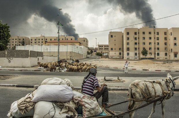 Gaza (2019) - photo 2