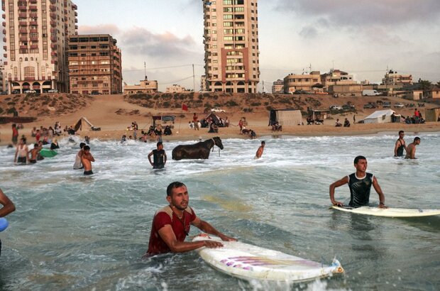Gaza (2019) - photo 3