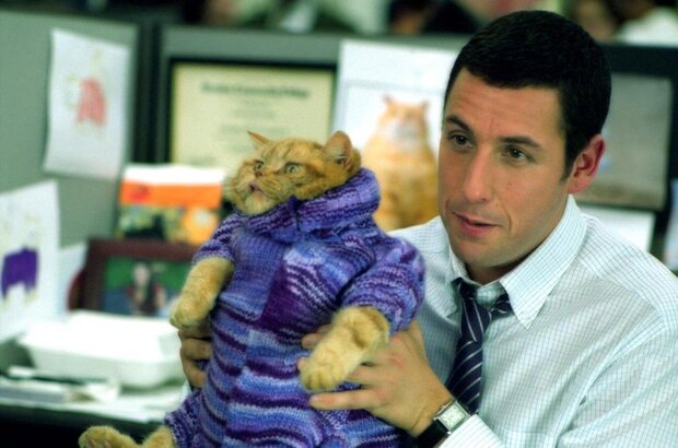 Anger Management (2003) - photo 6
