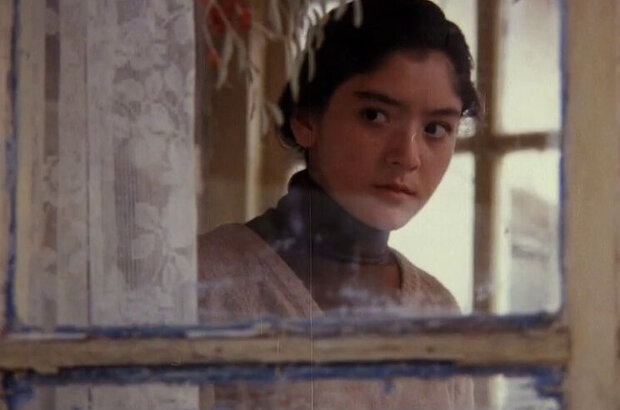 Всё вокруг засыпало снегом (1995) - фото 2