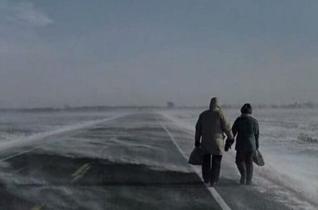 Керлинг (2010) - фото 3