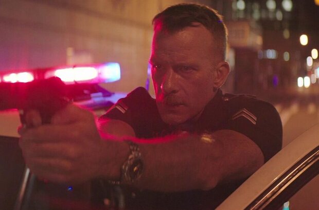 Crown Vic (2019) - photo 5