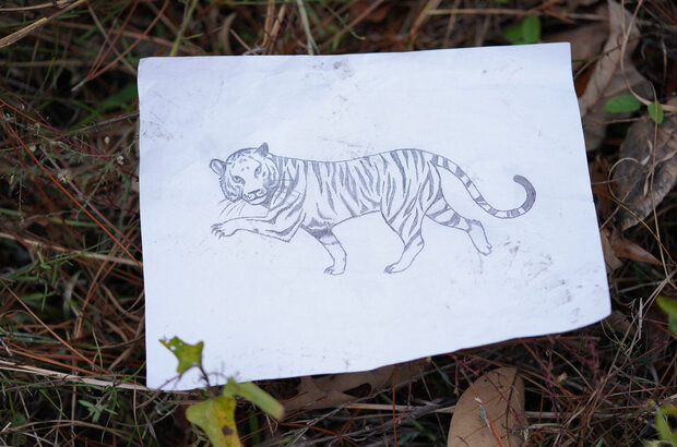 The Tiger Rising (2021) - photo 9