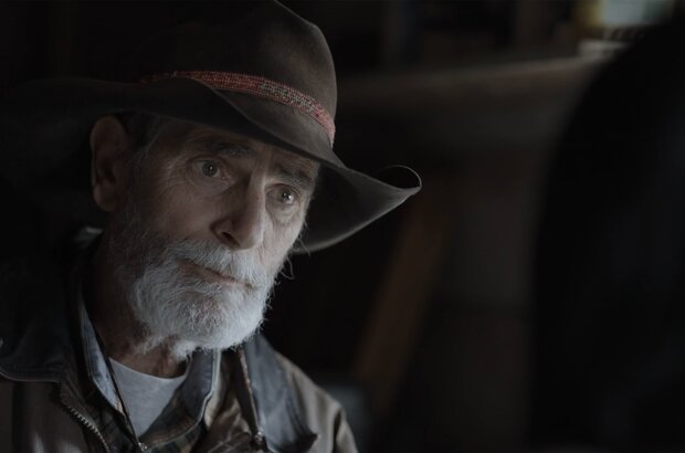 Before They Vanish (2022) - photo 1