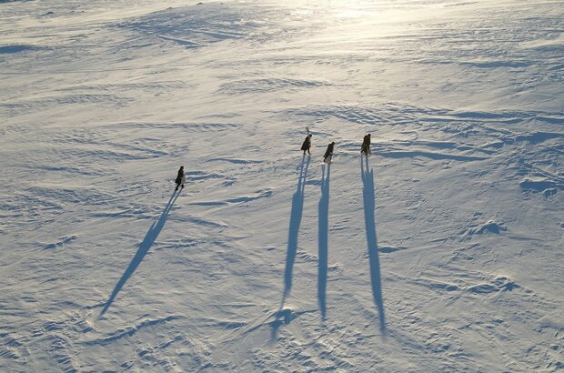 Freeze (2022) - photo 5