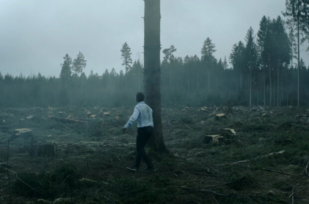 Bark (2023) - photo 5