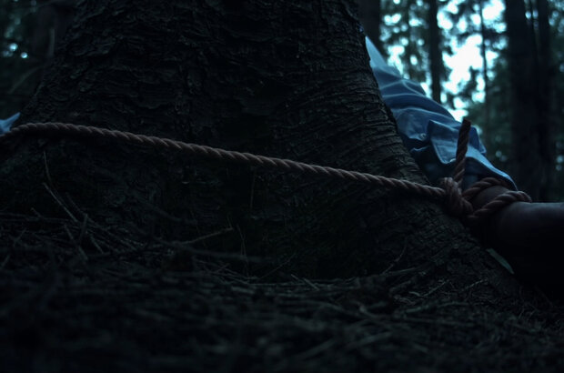 Bark (2023) - photo 6