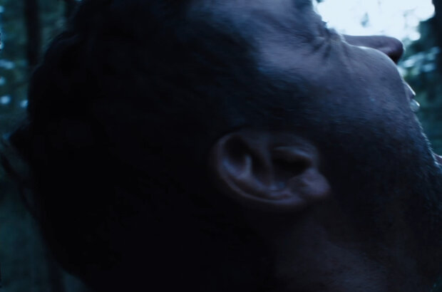 Bark (2023) - photo 2