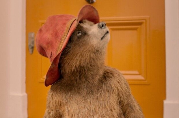 Paddington 2 (2017) - photo 10