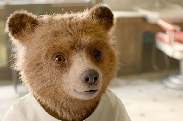 Paddington 2 (2017) - photo 14