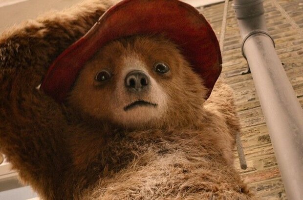 Paddington 2 (2017) - photo 9