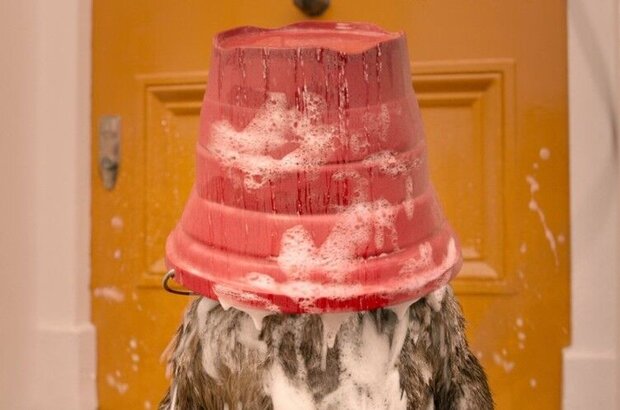 Paddington 2 (2017) - photo 4