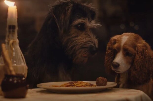 Lady and the Tramp (2019) - photo 1