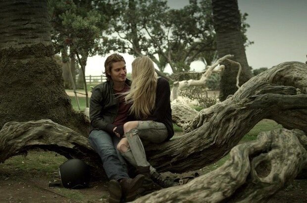 Squatters (2014) - photo 5