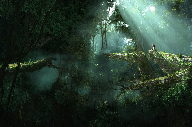 Tarzan (2013) - photo 6