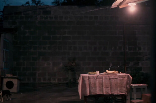 The Orlovs (2014) - photo 1