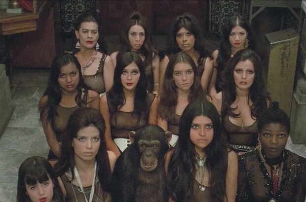 The Holy Mountain (1973) - photo 1