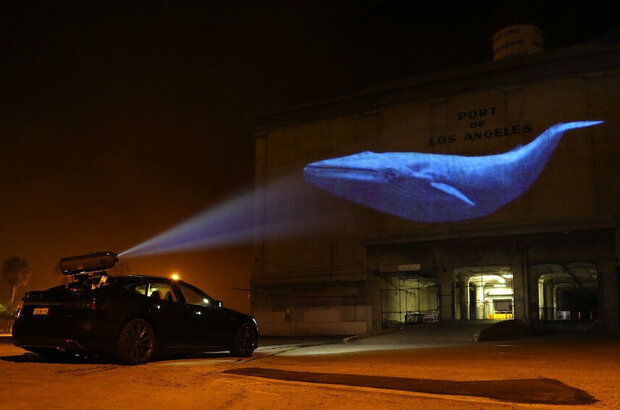 Racing Extinction (2015) - photo 1