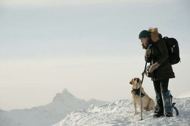 The Mountain Between Us (2017) - photo 1