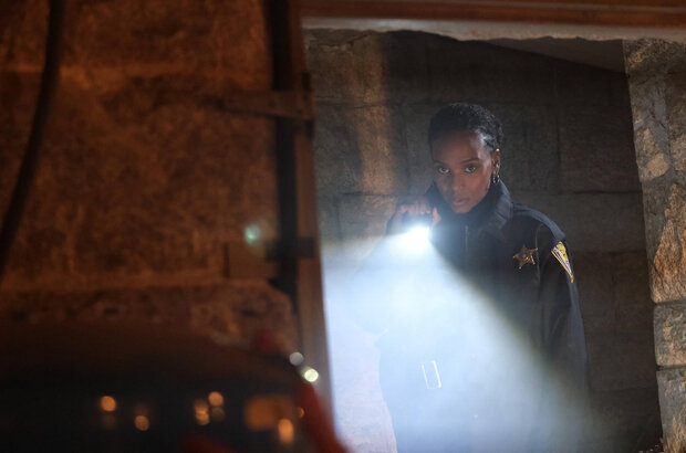 Trapped in the Farmhouse (2023) - photo 3