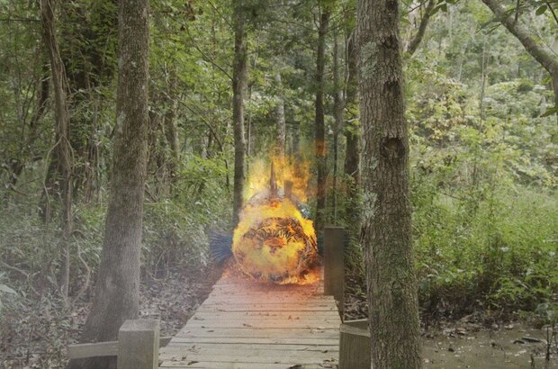 SnakeHead Swamp (2014) - photo 2