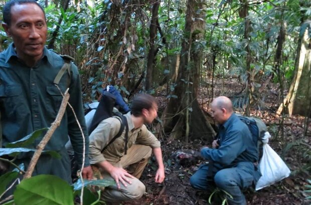 The Jungle (2013) - photo 6