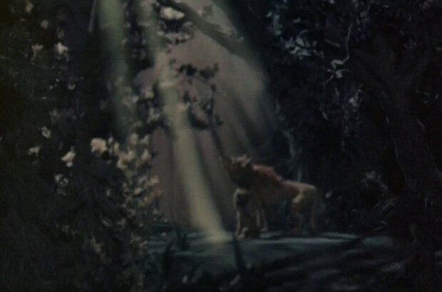 Kak prekrasno svetit segodnya luna (1988) - photo 6