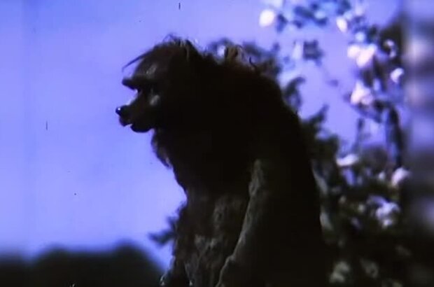 Kak prekrasno svetit segodnya luna (1988) - photo 7