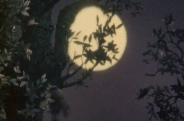 Kak prekrasno svetit segodnya luna (1988) - photo 1