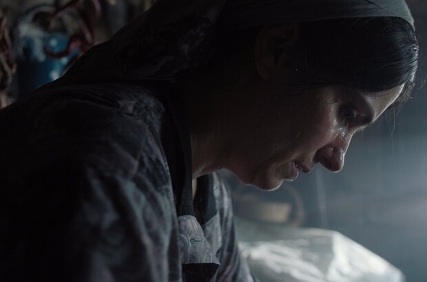 Hive (2021) - photo 3