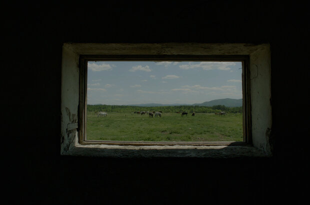 Dom na kolesah (2024) - photo 2