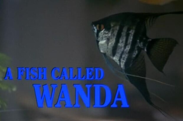 A Fish Called Wanda (1988) - photo 5