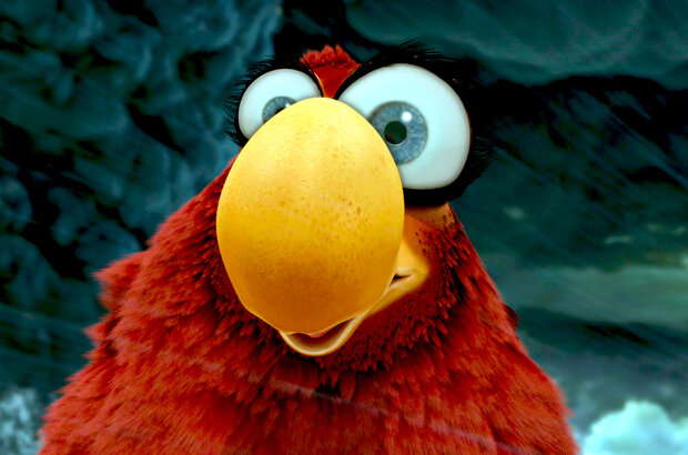 Birds Like Us (2017) - photo 5