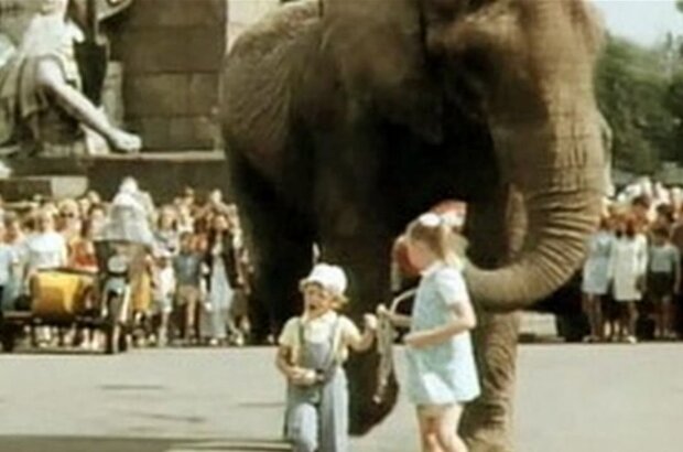 Boba i slon (1972) - photo 2